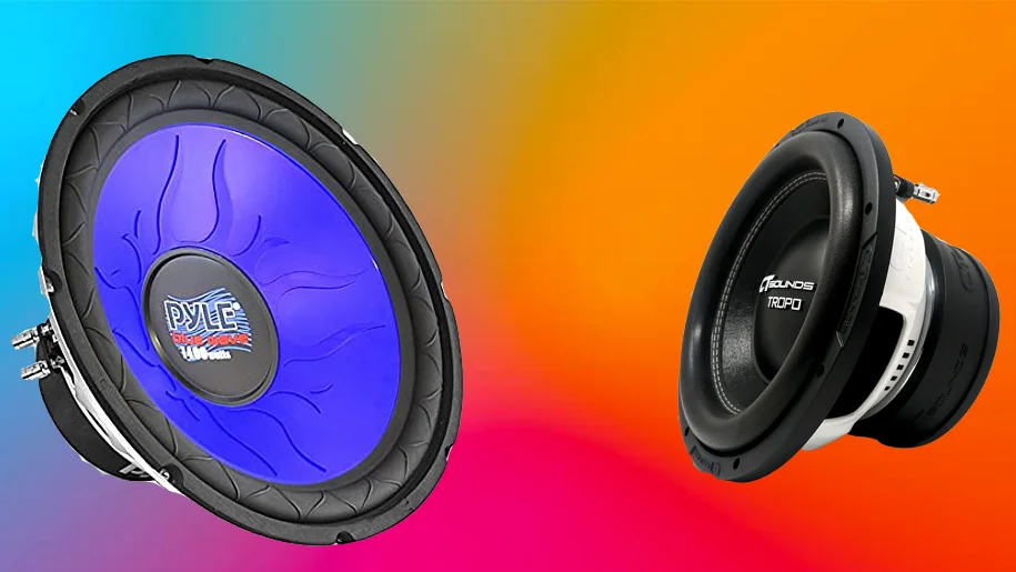 Best 10 Inch Subwoofer Under $100